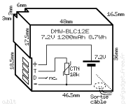 Schma interne approximatif Batterie DMW-BLC12E Panasonic Lumix pour DMC-FZ200